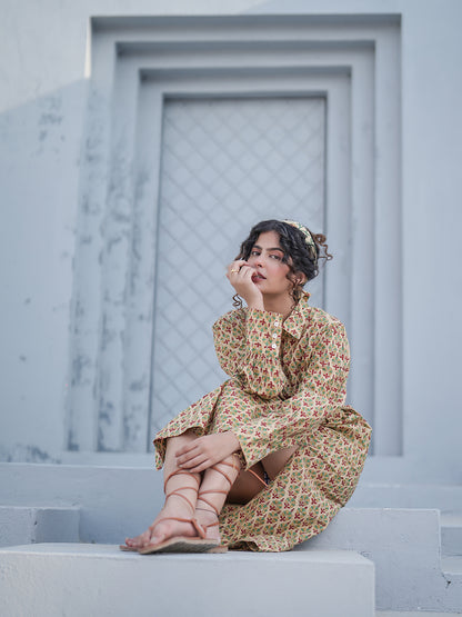 Caterina Hand Block Printed Shirt Dress